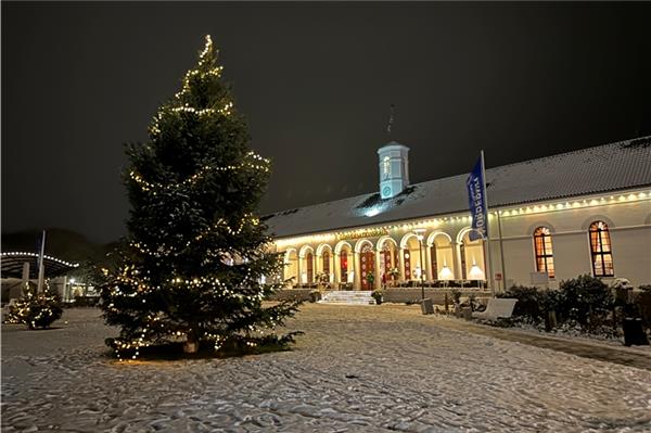 Der Weihnachtsbaum: Norderneyer setzen auf Tradition