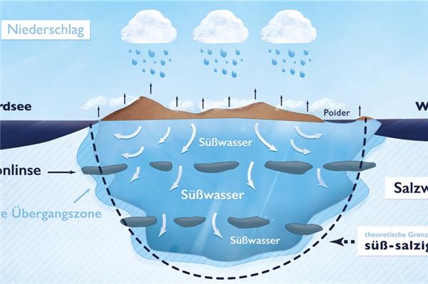 Infografik zur bekannten Norderneyer Süßwasserlinse. Grafik: Stadtwerke Norderney