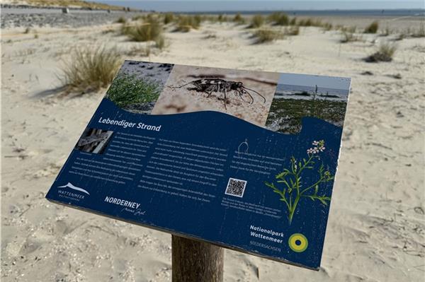 Strandinseln sind Biotope Informationstafel geben nützliche Informationen zu den Strandinseln. Fotos: Noun