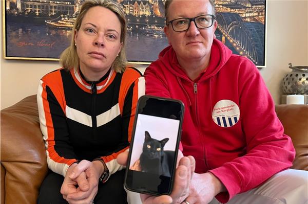 Wo ist Aramis? Catharina Majert und ihr Mann Gunnar zeigen auf einem Smartphone ein Foto ihrer Bombay-Katze.